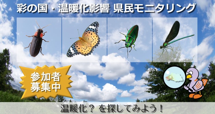 �ʂ̍����g���e���������j�^�����O
